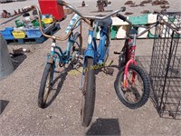 3- bikes