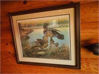 Large Wood Duck print by J.M. Foote