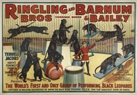 RINGLING BROS. BARNUM & BAILEY CIRCUS POSTER