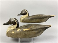 2 Pintail Drake Duck Decoys