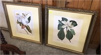 PAIR OF LARGE MAGNOLIA PRINTS