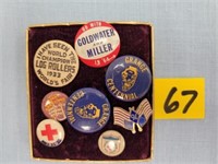 Political, World Fair & Red Cross Pins