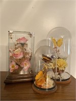 Vintage Butterflies & Flowers under glass
