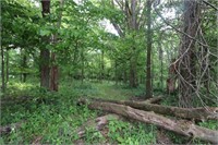 Tract 1 - 25± Wooded Acres