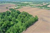 Tract 11 - 8± Acres - Mix of Woods and Open Space