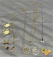 Assorted necklaces, pins, & earrings