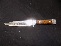 Brown Knife with plain handle