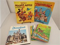 Disney Theme Books (10)