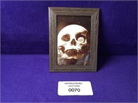 SKULL FRAMED PHOTO SEE DESCRIPTION