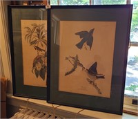 Pair 1881 James Audubon Framed Bird Prints