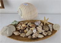 Vintage Seashells & Basket w/Large Shell