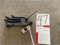 Set of Ratchet Style Wrenches - Offset