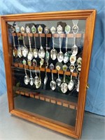 Collector Spoons in Display Case