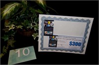 $300 Gift Certificate To Wallace Painting - Interi
