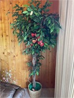 Tall artificial ficus plant