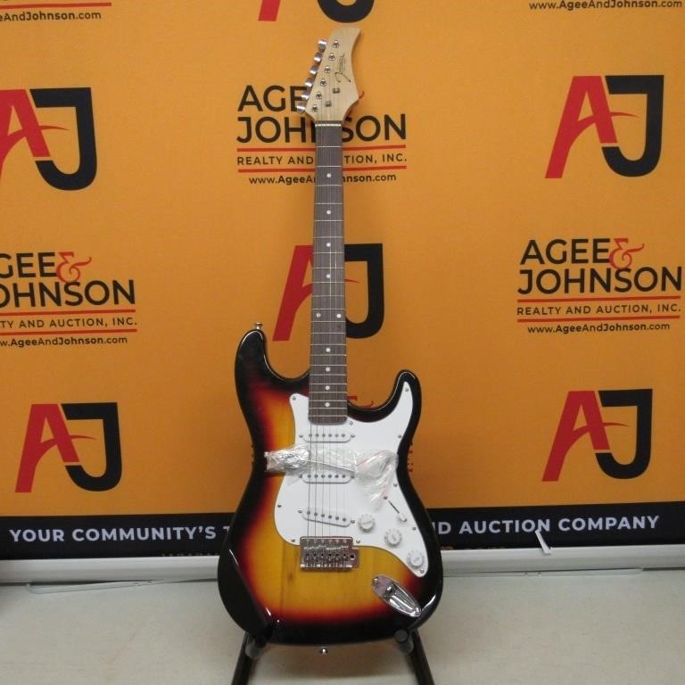 Guitar Collection Auction