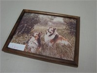 Picture of Collies in Frame w/ Stand 11" x 9"