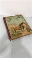 Antique 1900’s  book-Illustrated by Mc Loughlin