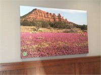 32x48 canvas print