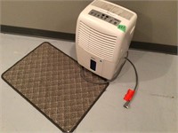 dehumidifier & rug