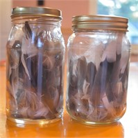 2 Jars Full Wild Bird Feather Collections