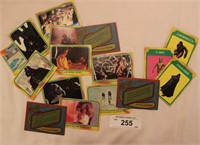 Vintage STAR WARS Collectable Cards