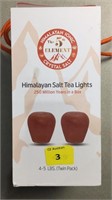 Pair of Himalayan salt tea light holders