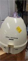 Vidal session ionizer