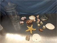 Sea Shells and Jar