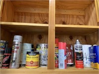 Contents of shelf, paint.