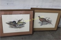 Framed Wildlife Art - Common Wild Duck and Common