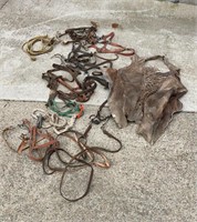 Assorted Halters And Chaps