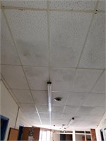 Ceiling, Lights, Grids, & Insulation In School