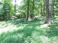 1.34 ACRE LOT CLEARED AND WOODED.