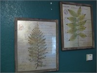 Pair Of 19.5" x 23.5" Framed Botanic Prints