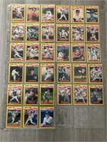 Lot of 33 Toys R Us 1989 rookies baseball cards