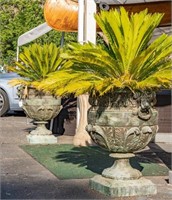 Pair bronzed garden planters with Palms