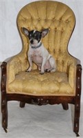 VICTORIAN WALNUT CHILD'S SIZE PARLOR CHAIR,