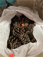 Bag of Large Pine Cones