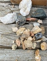 Seashells, Rocks, Minerals