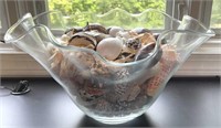 Large Scalloped Bowl of Polished & Natural Shells