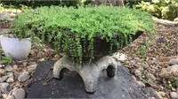 Large Footed Planter