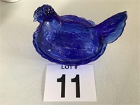 Cobalt Blue Split Tail Hen on Nest
