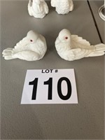Pair of White Doves with Red Eyes