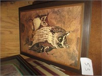 OWLS PICTURE