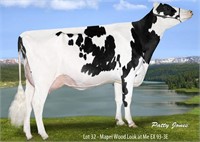 Mapel Wood Epic Look at Me EX-93 3E