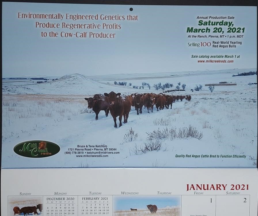 Montana Red Angus 2022 Calendar Ad Auction