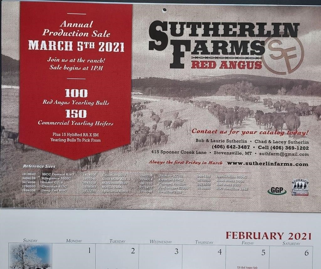 Montana Red Angus 2022 Calendar Ad Auction
