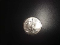 2013 USA Silver Dollar