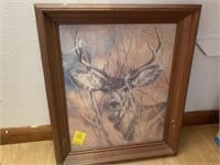 Framed Buck Deer Print